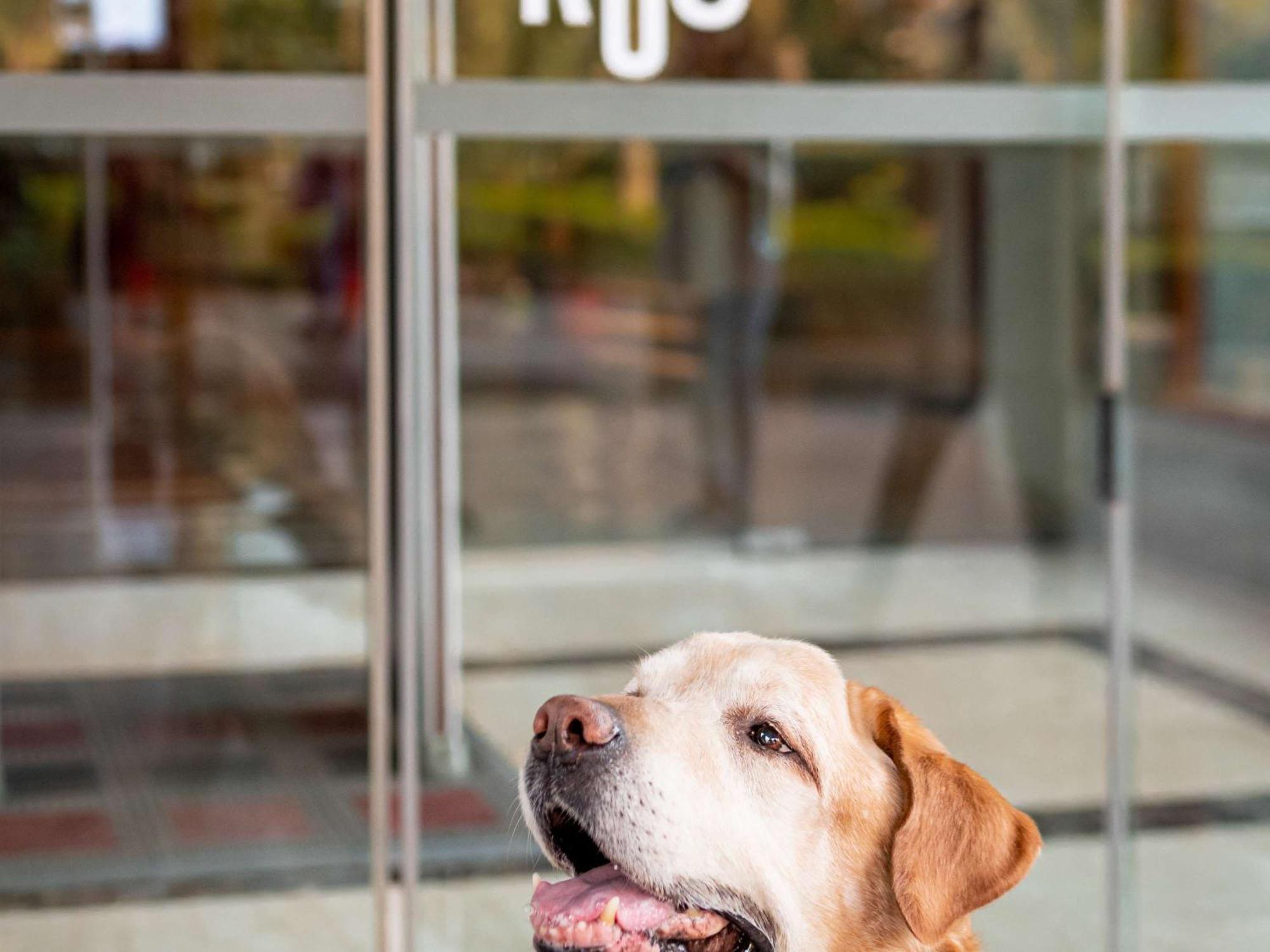 Ibis Madrid Calle Alcala Εξωτερικό φωτογραφία